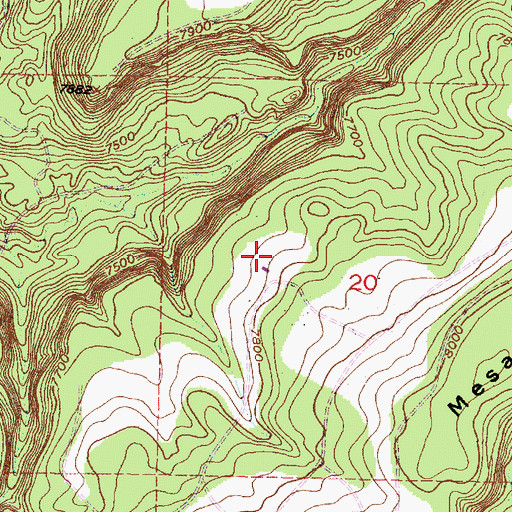 Topographic Map of Trick Tank Number Five, NM