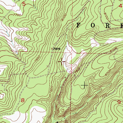 Topographic Map of Cruz Number One Tank, NM