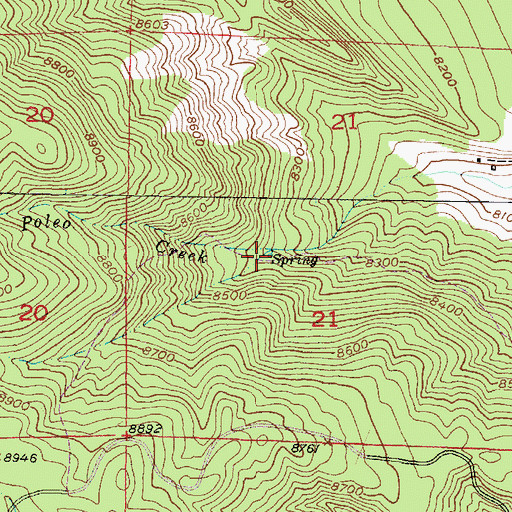 Topographic Map of Rincon Spring, NM