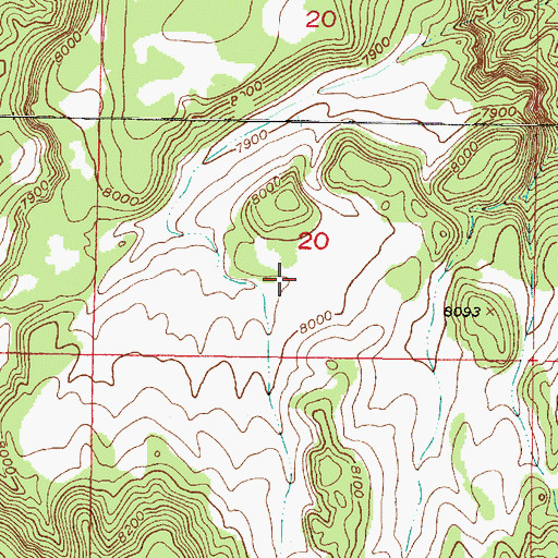 Topographic Map of Mesa Ojitos Trick Tank, NM