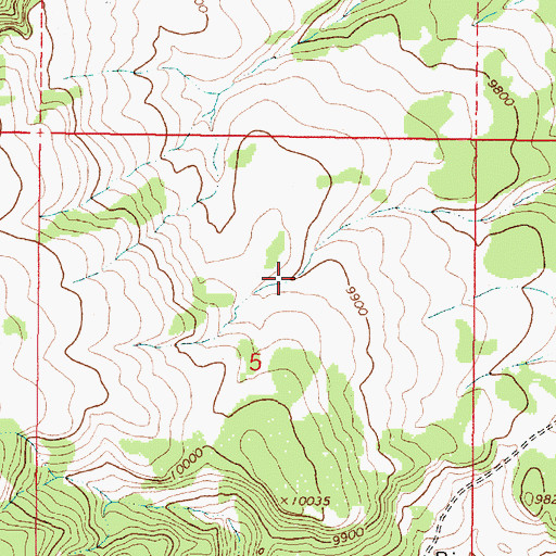 Topographic Map of Negro Tank, NM