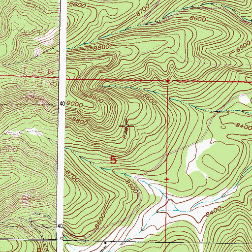 Topographic Map of Bear Spring, NM