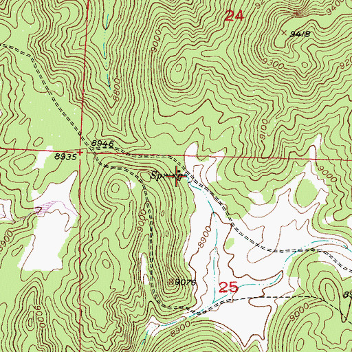 Topographic Map of Dunlap Spring, NM