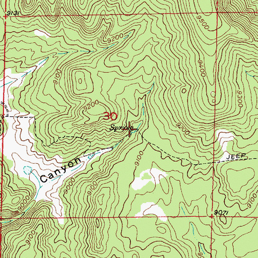 Topographic Map of Pedro Spring, NM