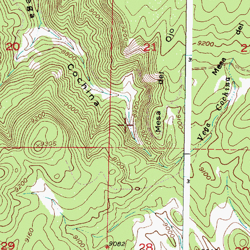 Topographic Map of Cochina Spring, NM