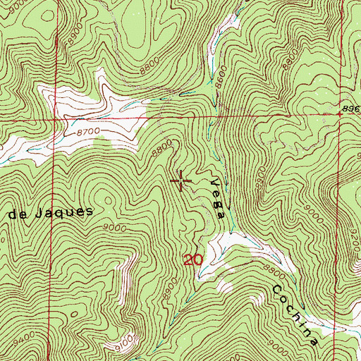 Topographic Map of Cochina Spring, NM