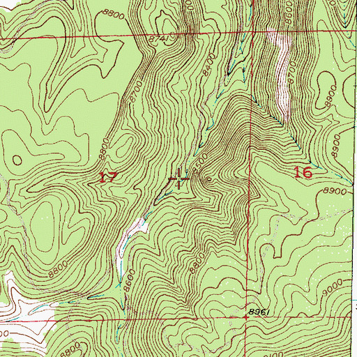 Topographic Map of Nester Spring, NM