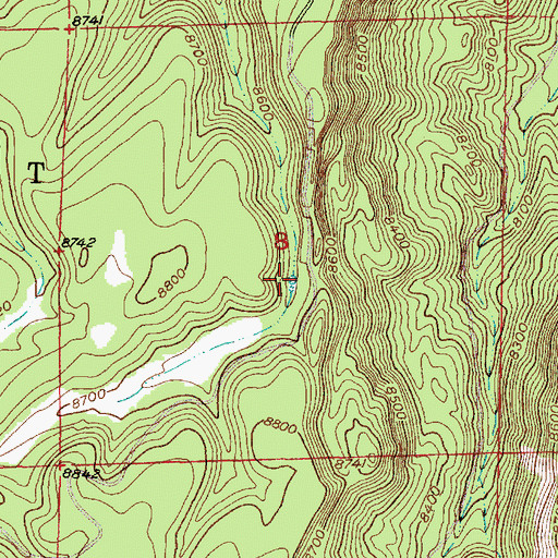 Topographic Map of Bonita Tank, NM