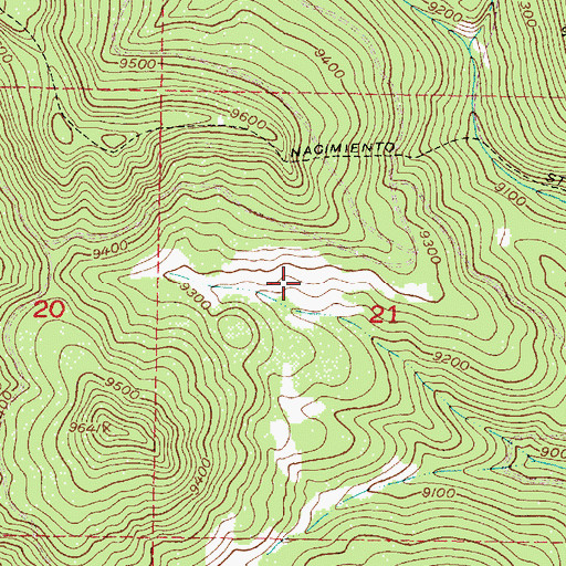 Topographic Map of Luterio Spring, NM