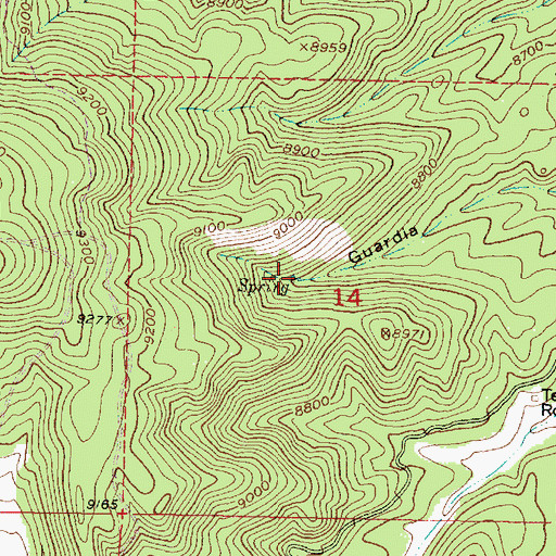 Topographic Map of Guardia Spring, NM
