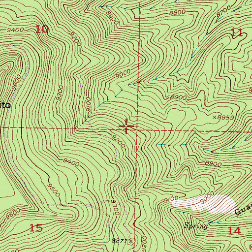 Topographic Map of Jarosito Spring, NM