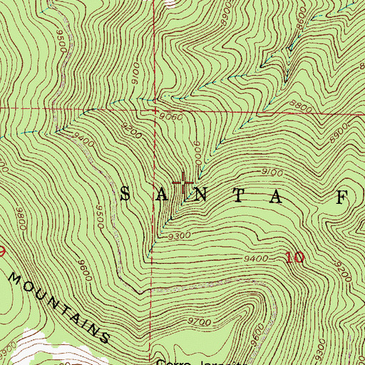 Topographic Map of Diego Spring, NM