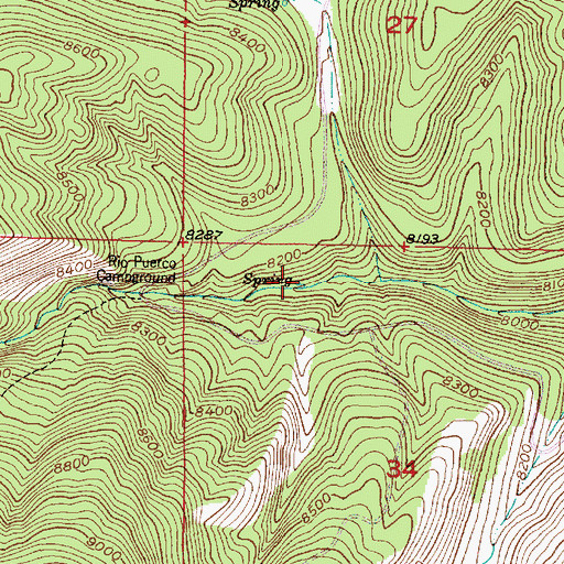 Topographic Map of Campground Spring, NM