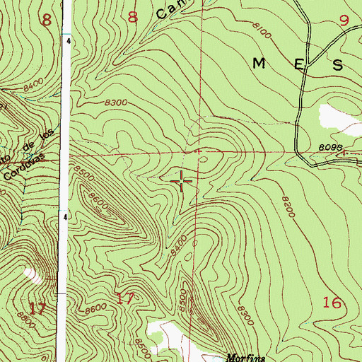 Topographic Map of Salazar Tank, NM