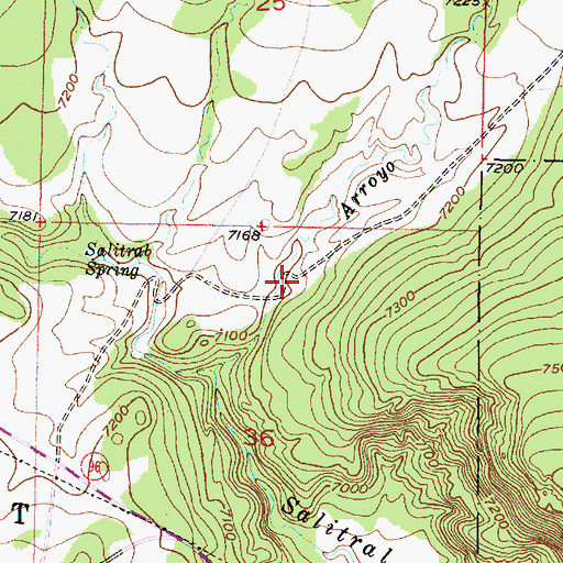 Topographic Map of Salitral Corral, NM