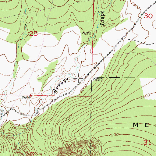 Topographic Map of Navajo Tank, NM
