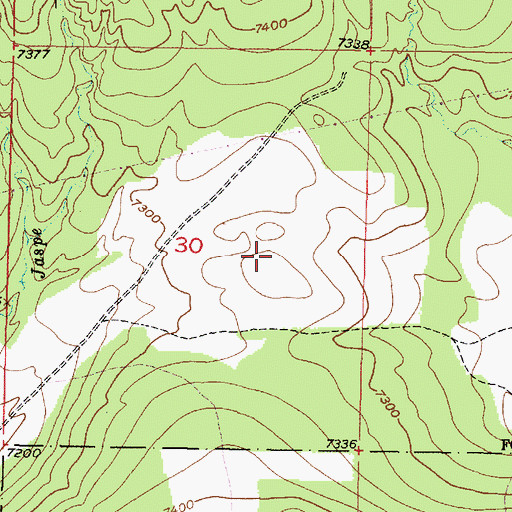 Topographic Map of Navajo Trick Tank, NM