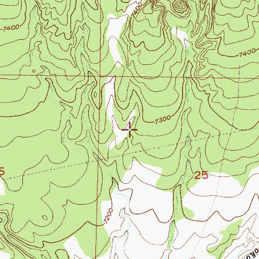 Topographic Map of West Trick Tank, NM