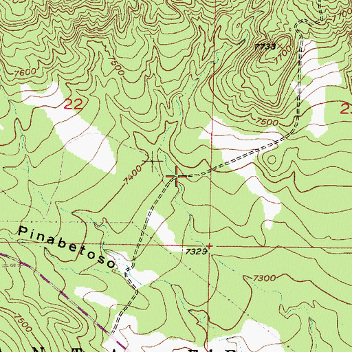Topographic Map of Ojo Corral, NM