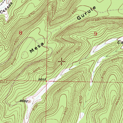 Topographic Map of Dead Horse Spring, NM