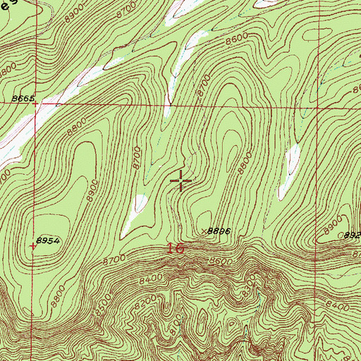 Topographic Map of Sandy Deer Spring, NM