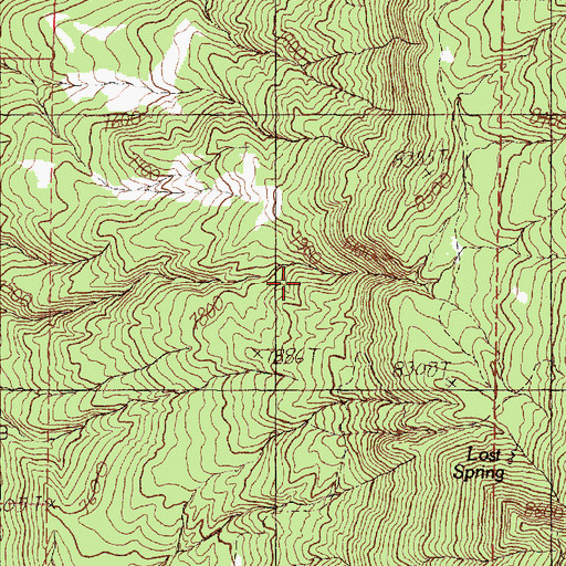 Topographic Map of Indio Spring, NM