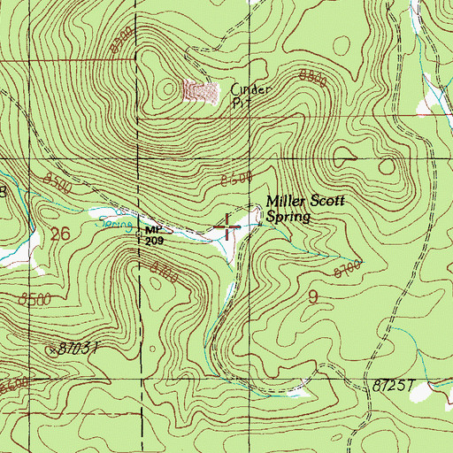 Topographic Map of Miller Scott Spring, NM