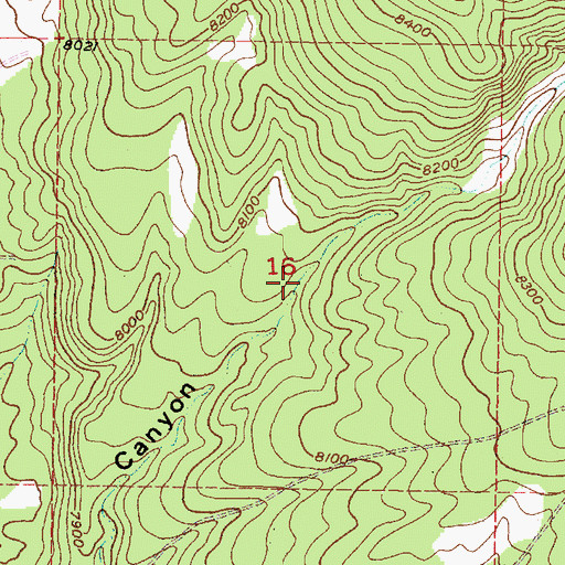 Topographic Map of Conjilon Tank, NM