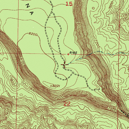 Topographic Map of Sapo Tank, NM