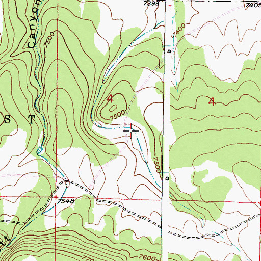 Topographic Map of Four Tank, NM