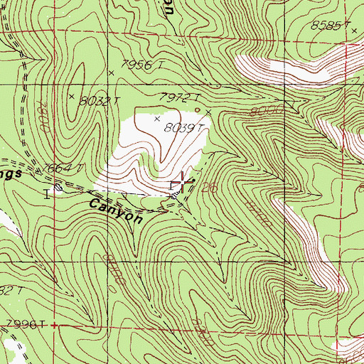 Topographic Map of Zamora, NM
