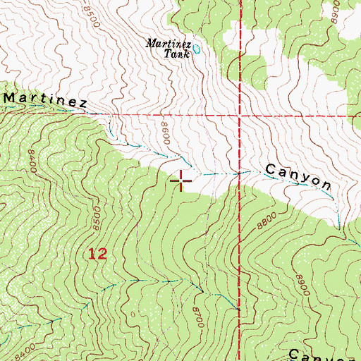 Topographic Map of Negro Tank, NM