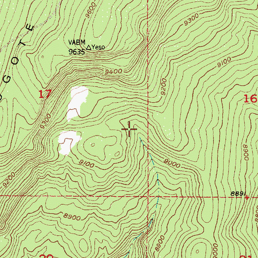 Topographic Map of Amarilla Tank, NM