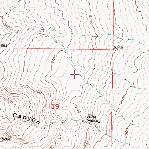 Topographic Map of Canevas Tank, NM
