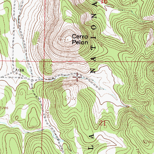 Topographic Map of Palome Tank, NM