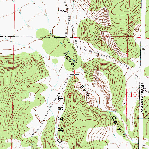Topographic Map of Woodbury Ranch, NM