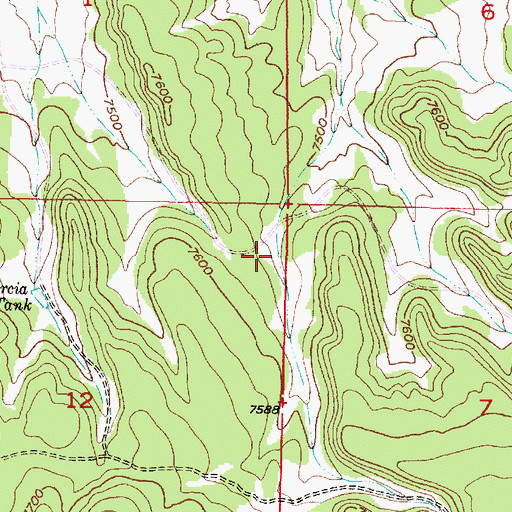 Topographic Map of Snag Tank, NM