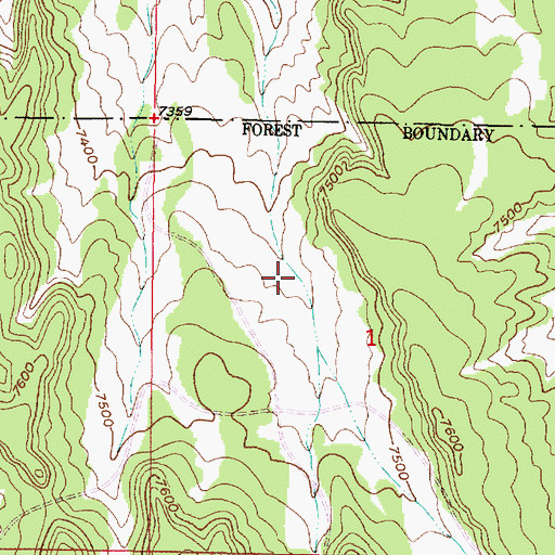 Topographic Map of Little Tank, NM