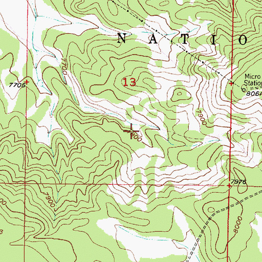 Topographic Map of Rincon Tank, NM