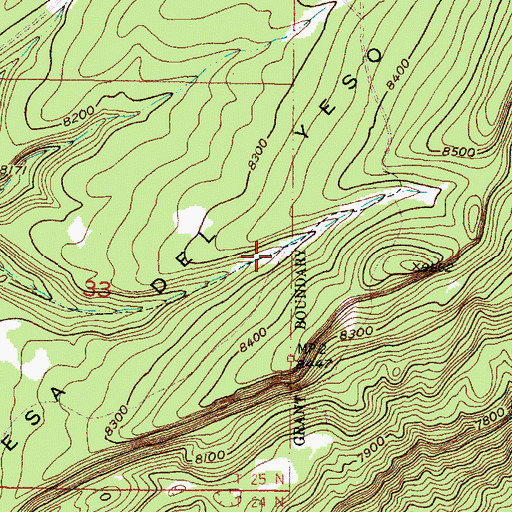 Topographic Map of Wild Horse Tank, NM