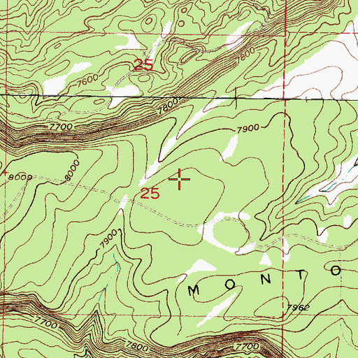 Topographic Map of Trick Tank Number One, NM