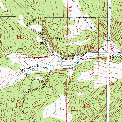 Topographic Map of Borracho Forest Service Facility, NM