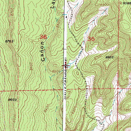 Topographic Map of Canon Largo Tank, NM