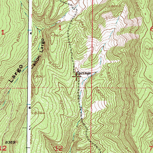 Topographic Map of La Cueva Springs, NM