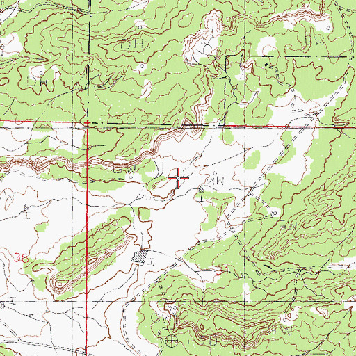 Topographic Map of Nelson Wells, NM