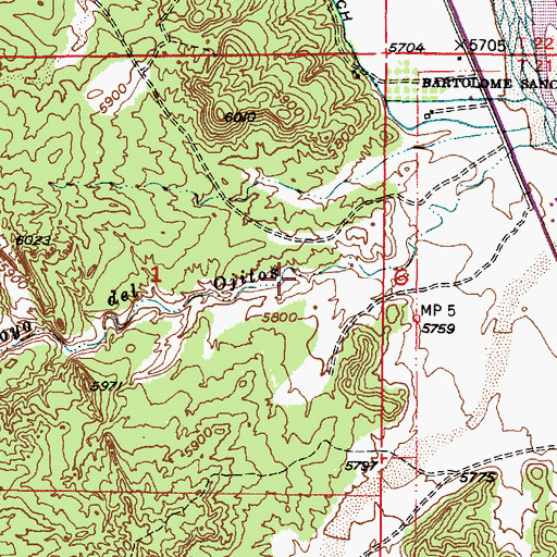 Topographic Map of Henry Spring, NM