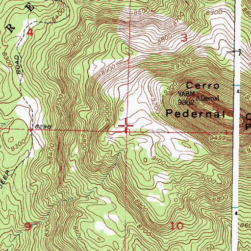 Topographic Map of Pedernal Trick Tank, NM
