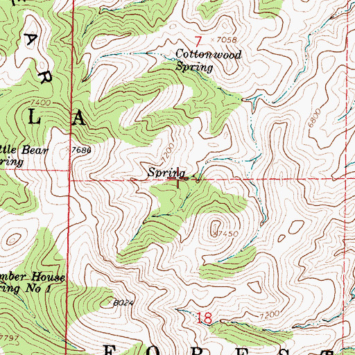 Topographic Map of Winter Spring, NM