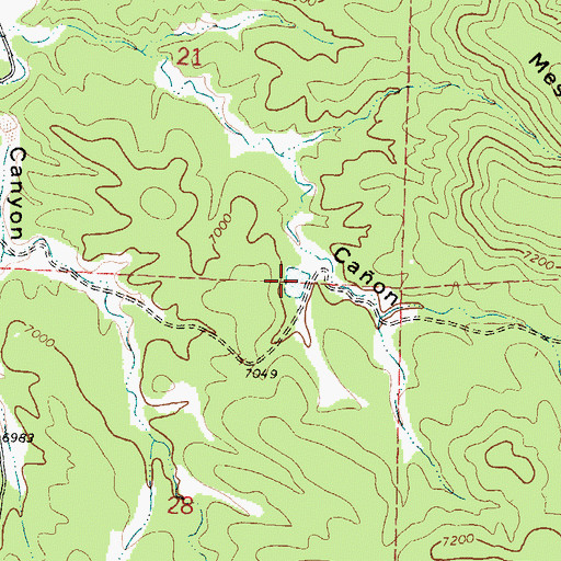 Topographic Map of New Tank, NM