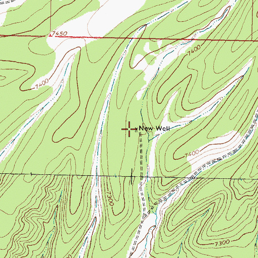 Topographic Map of New Well, NM